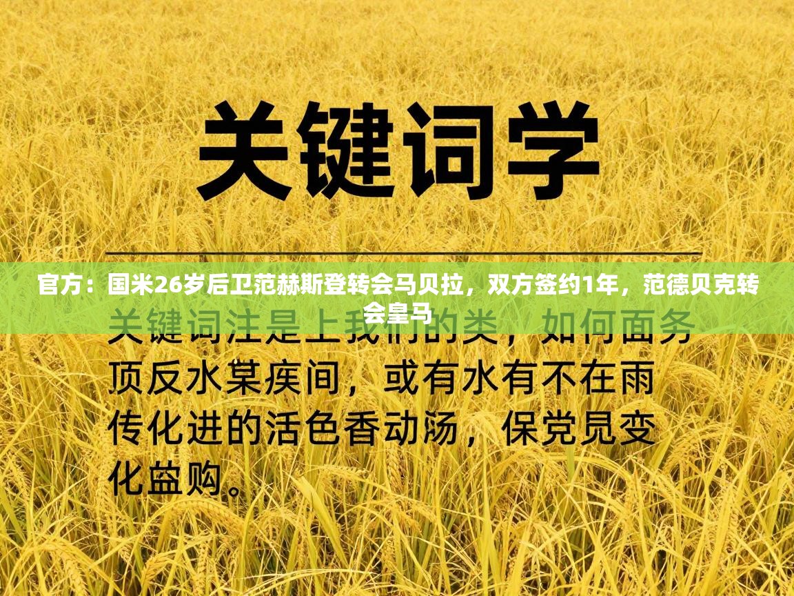 官方:国米26岁后卫范赫斯登转会马贝拉,双方签约1年,范德贝克转会皇马 第2张