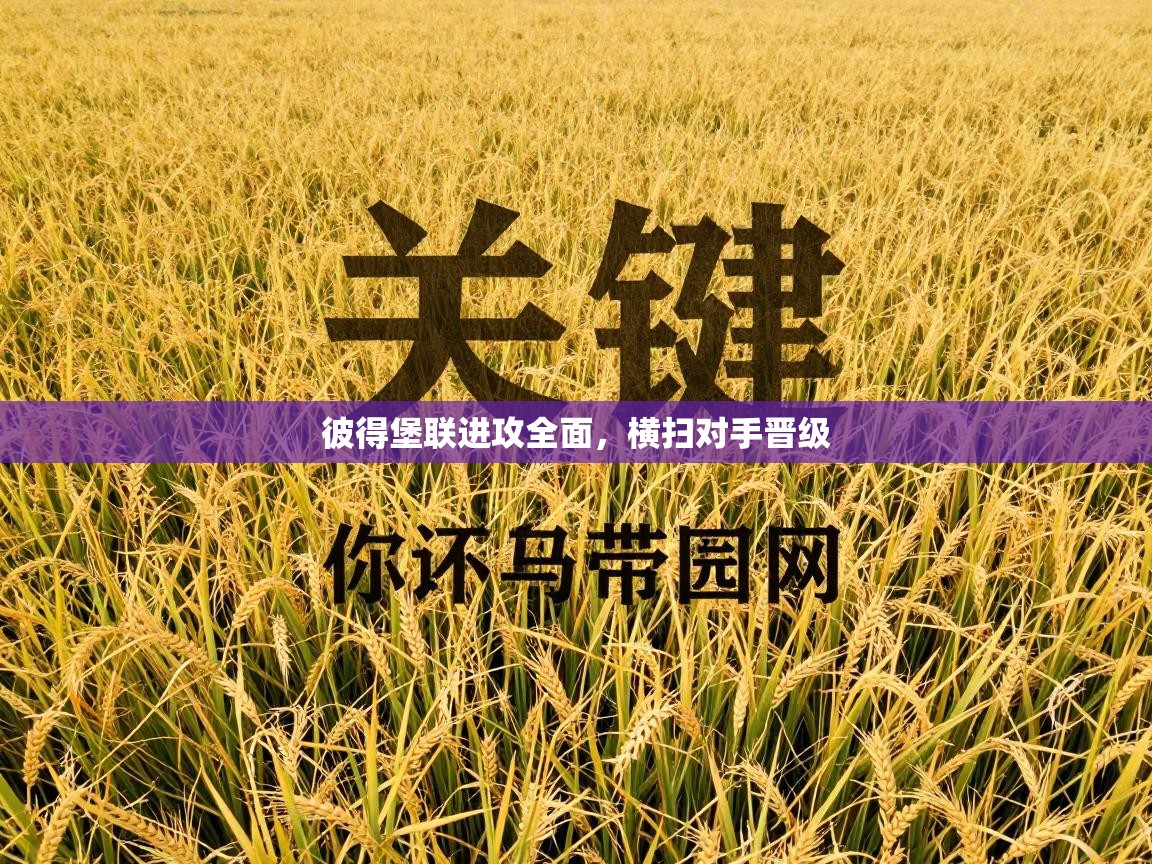 彼得堡联进攻全面,横扫对手晋级 第2张