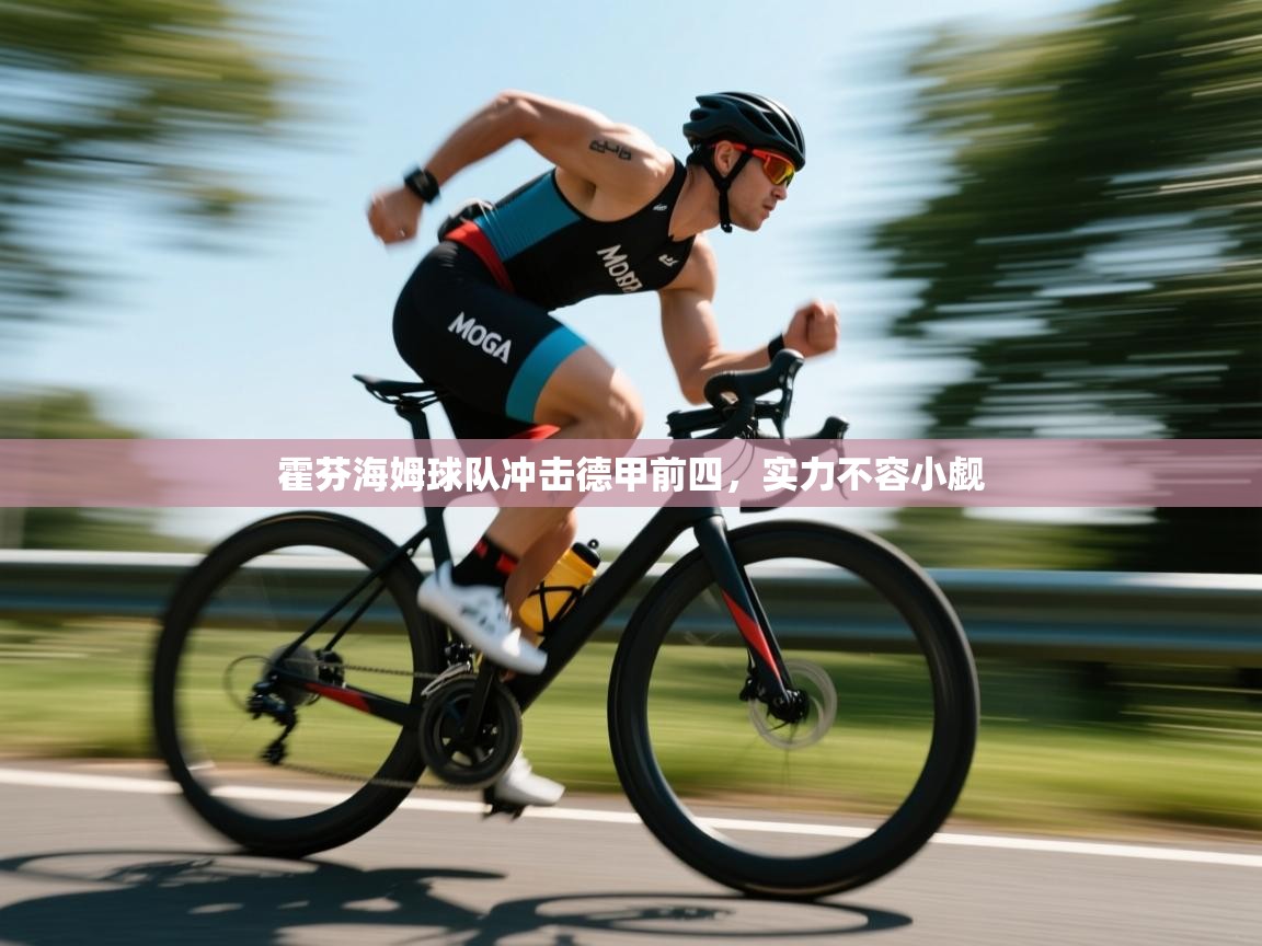 霍芬海姆球队冲击德甲前四,实力不容小觑 第1张