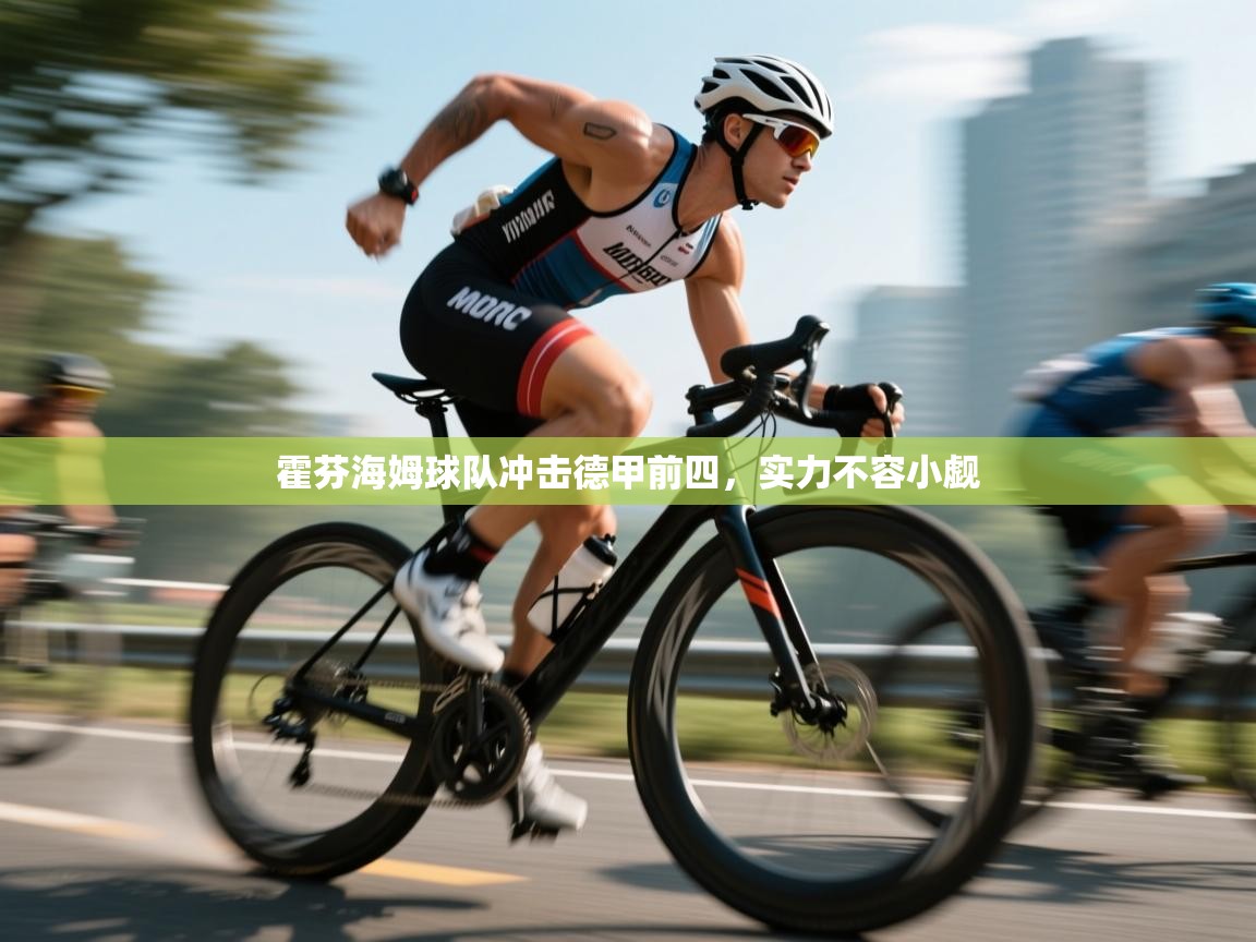 霍芬海姆球队冲击德甲前四,实力不容小觑 第2张