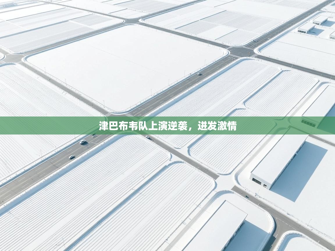 津巴布韦队上演逆袭，迸发激情  第2张